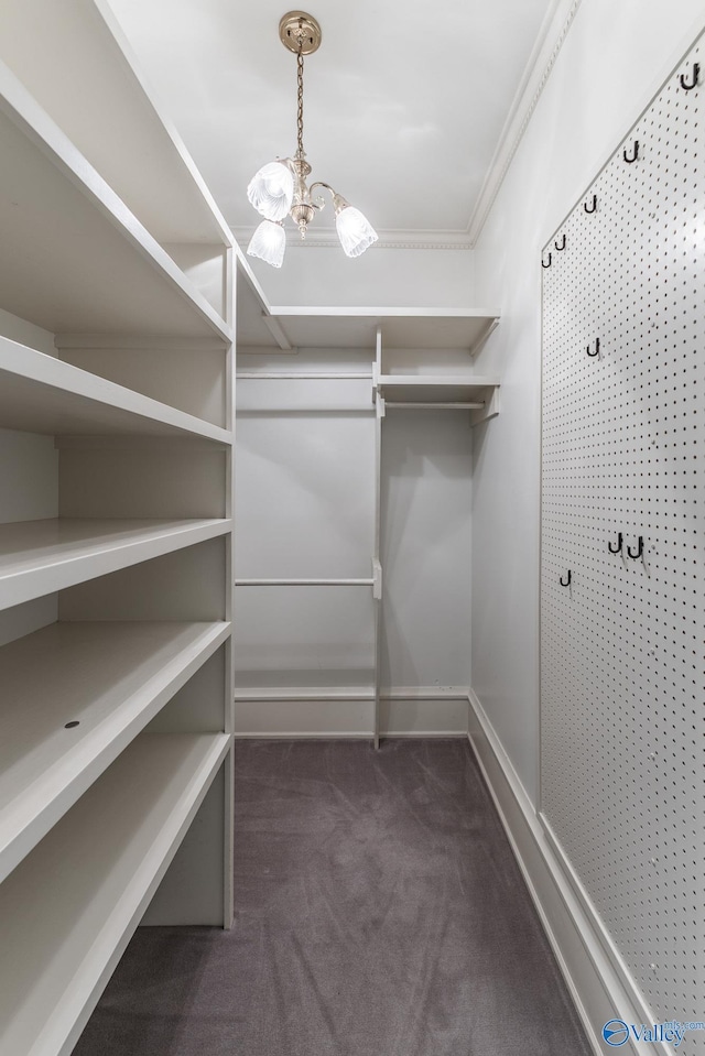 walk in closet with an inviting chandelier and dark colored carpet