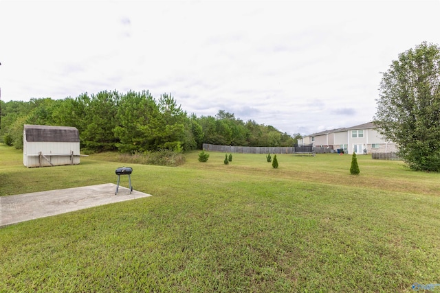 view of yard with a storage unit