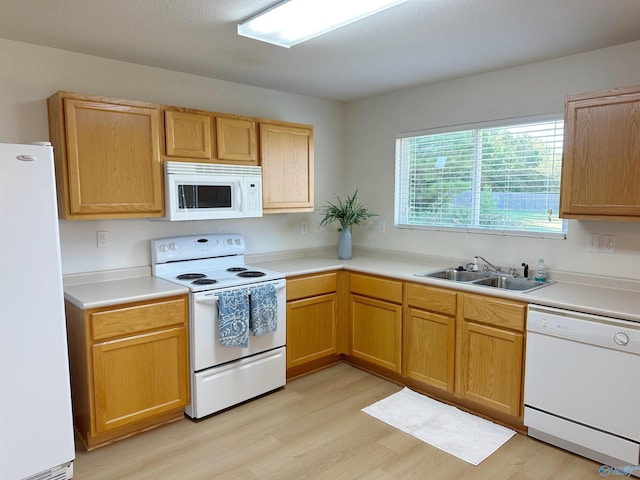 kitchen featuring white appliances, sink, and light hardwood / wood-style flooring