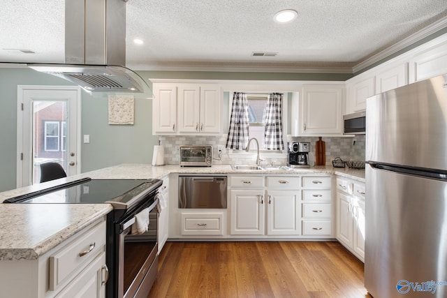 kitchen with a peninsula, island exhaust hood, stainless steel appliances, light wood-style floors, and a sink