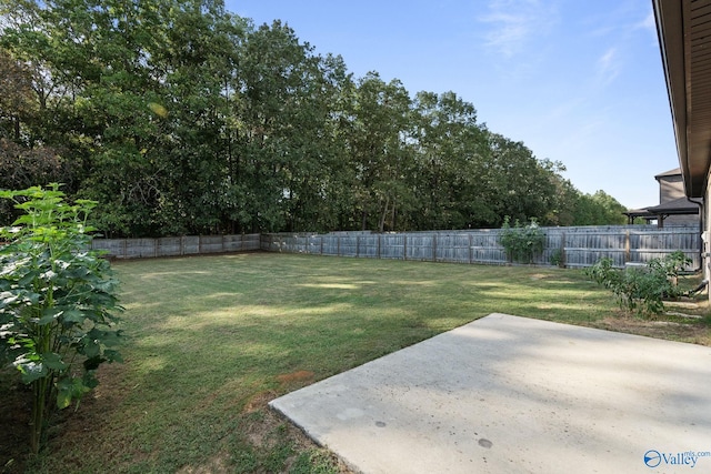 view of yard with a patio