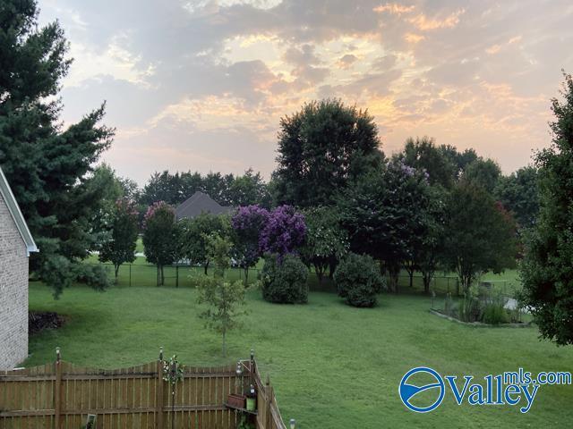 view of yard at dusk