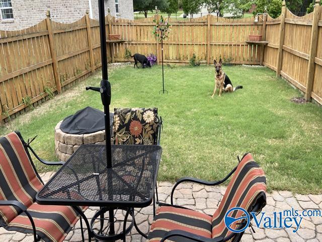 view of yard with a patio area