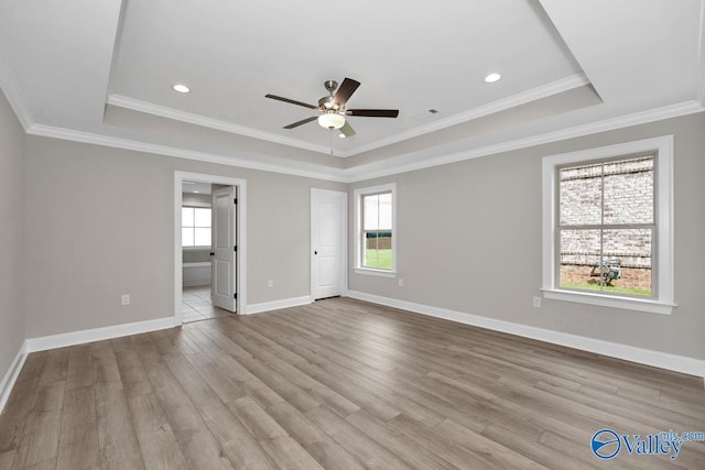 spare room featuring light hardwood / wood-style flooring, a tray ceiling, and plenty of natural light