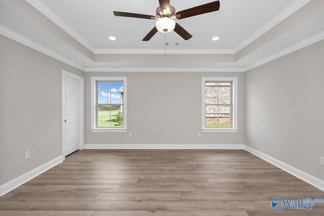 unfurnished room with light hardwood / wood-style flooring, a wealth of natural light, and a raised ceiling