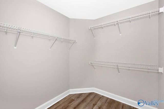 spacious closet featuring hardwood / wood-style flooring