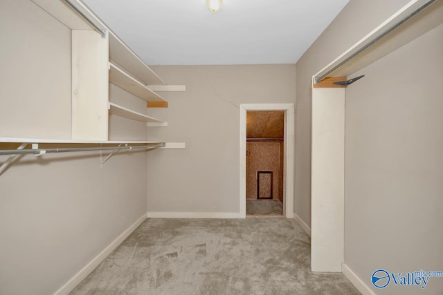 spacious closet featuring light colored carpet