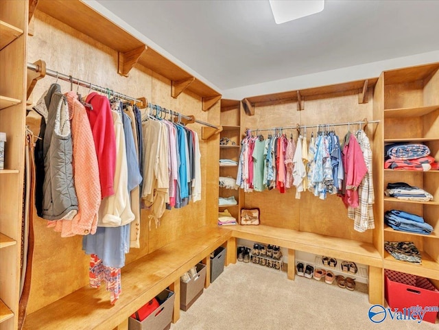 591 Nix Rd, Hazel Green, AL 35750 - mudroom featuring carpet