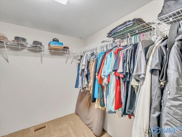 591 Nix Rd, Hazel Green, AL 35750 - spacious closet featuring carpet floors