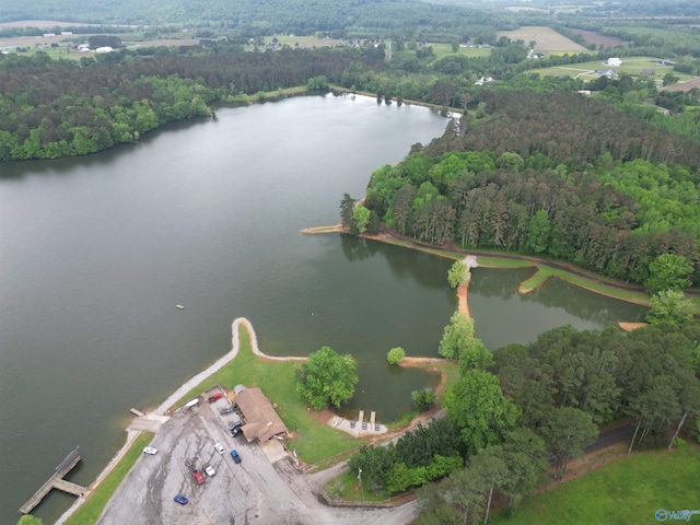 birds eye view of property featuring a wooded view and a water view