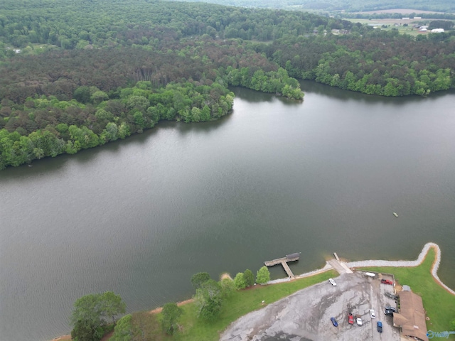 birds eye view of property featuring a water view and a forest view