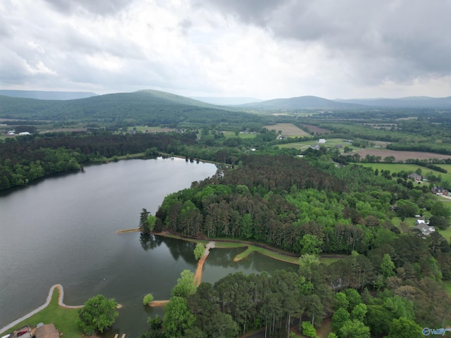 aerial view featuring a water and mountain view and a view of trees