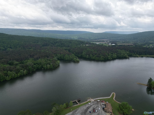 aerial view with a water view and a wooded view