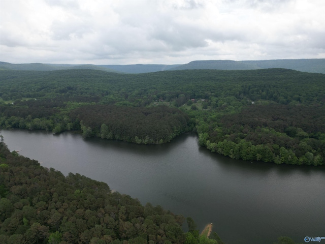 birds eye view of property with a water and mountain view and a wooded view