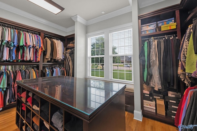 201 Atwater Dr, Madison, AL 35756 - walk in closet featuring wood finished floors