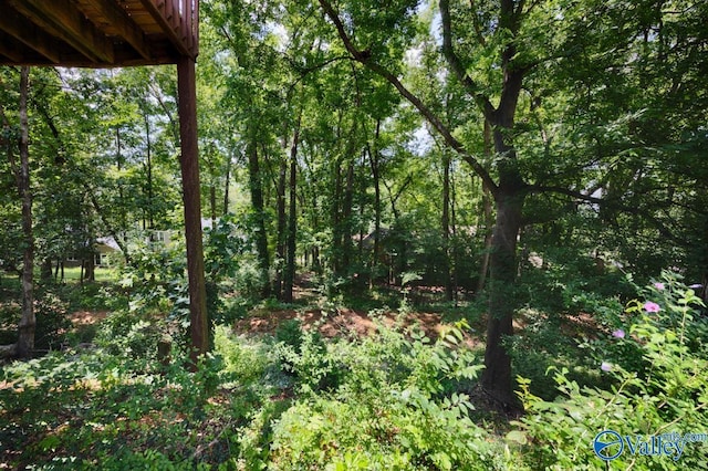 9046 Sugar Tree Trl, Huntsville, AL 35802 - view of tree filled area