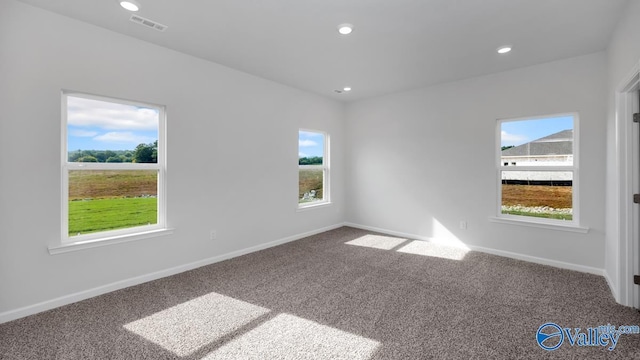 spare room featuring plenty of natural light and carpet flooring