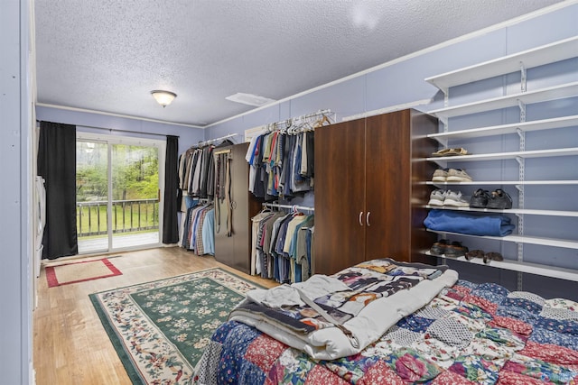 walk in closet featuring wood finished floors