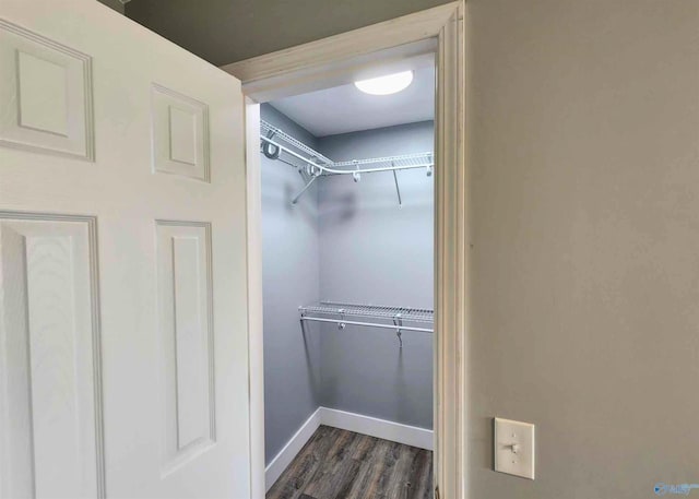 spacious closet with dark wood-type flooring