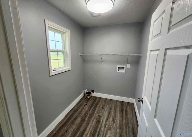 washroom with washer hookup, dark hardwood / wood-style flooring, and a textured ceiling