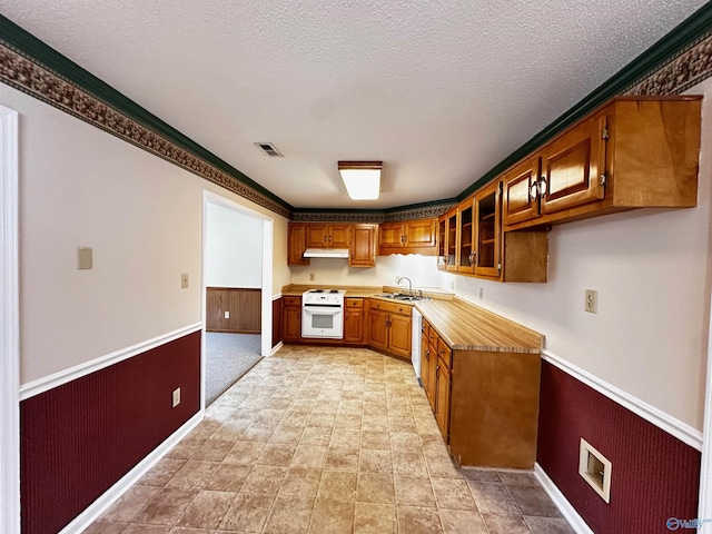 kitchen featuring a wainscoted wall, white electric range oven, a sink, and visible vents