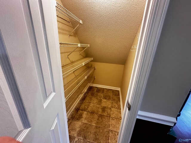 spacious closet with vaulted ceiling