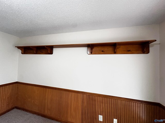 interior space with a wainscoted wall, wooden walls, and a textured ceiling