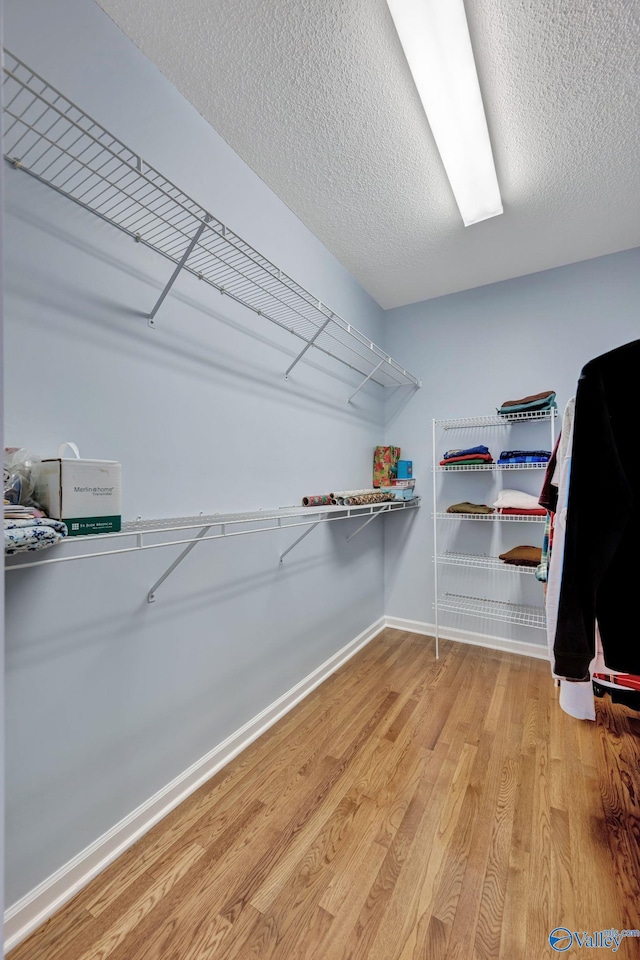 spacious closet with light hardwood / wood-style floors