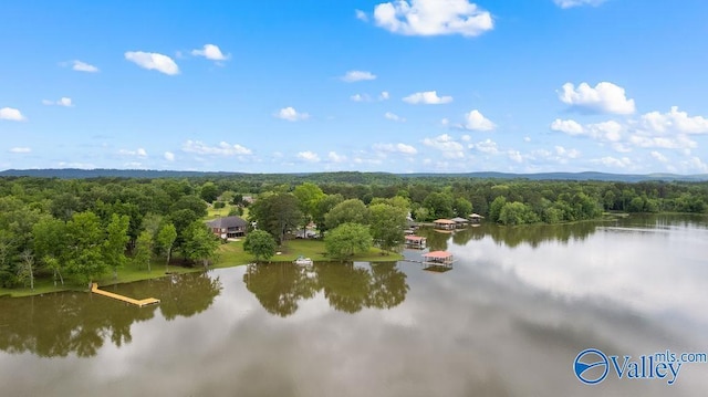 219 Sharp Dr, Gadsden, AL 35903 - aerial view of a heavily wooded area and a large body of water