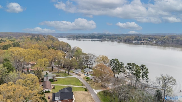 birds eye view of property featuring a water view and a view of trees