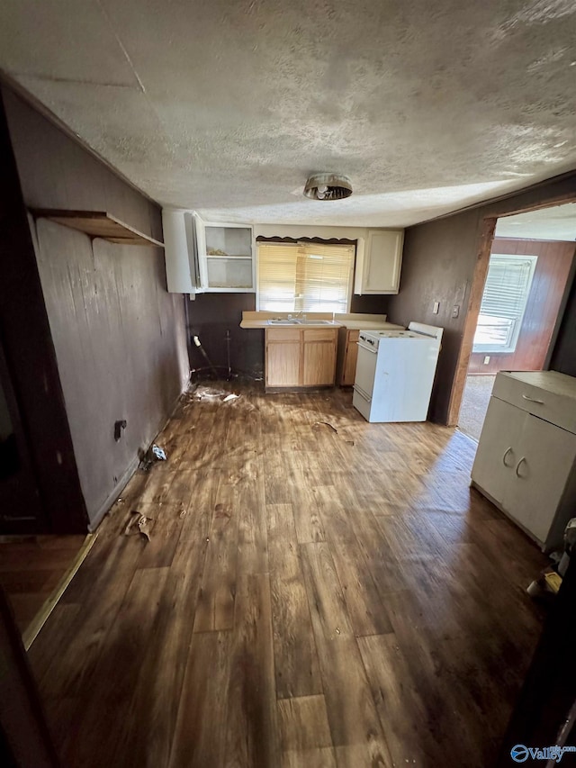 kitchen featuring wood-type flooring, a textured ceiling, and electric range