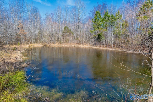 view of water feature with a wooded view