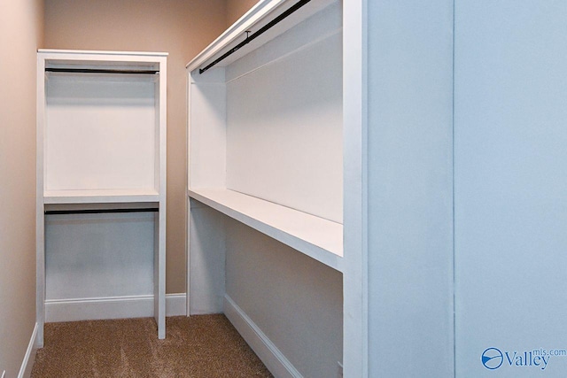 spacious closet with carpet flooring and a barn door