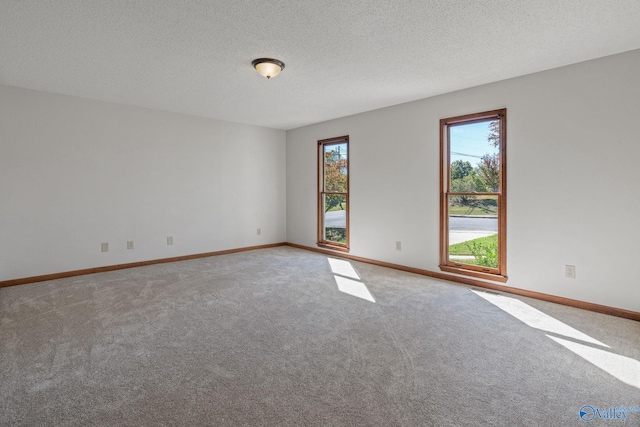 unfurnished room with carpet floors and a textured ceiling