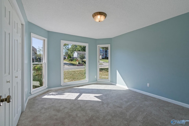 empty room featuring carpet floors and a textured ceiling