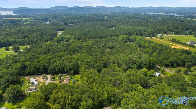 12.2 Riddles Bend Rd, Rainbow City, AL 35906
