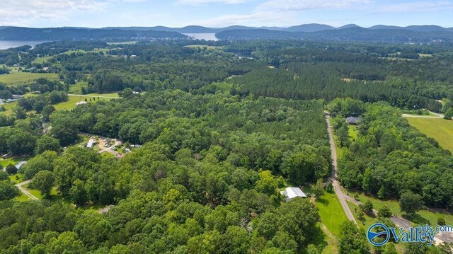 12.2 Riddles Bend Rd, Rainbow City, AL 35906