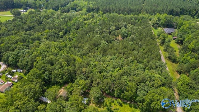 12.2 Riddles Bend Rd, Rainbow City, AL 35906