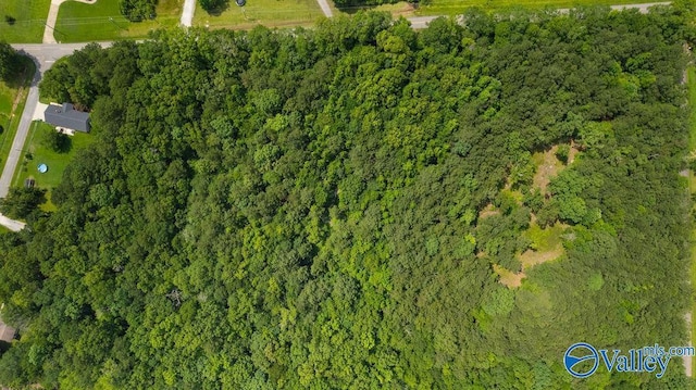 12.2 Riddles Bend Rd, Rainbow City, AL 35906