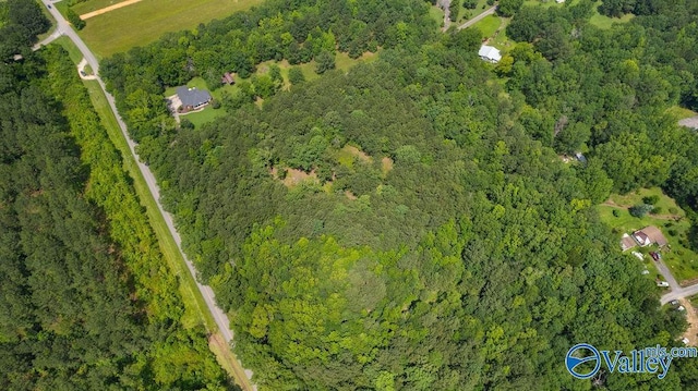 12.2 Riddles Bend Rd, Rainbow City, AL 35906