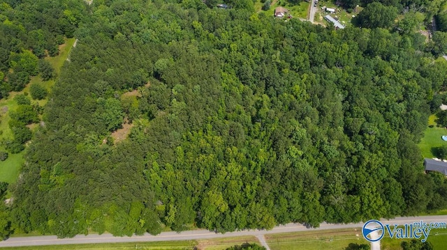 12.2 Riddles Bend Rd, Rainbow City, AL 35906