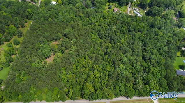 12.2 Riddles Bend Rd, Rainbow City, AL 35906