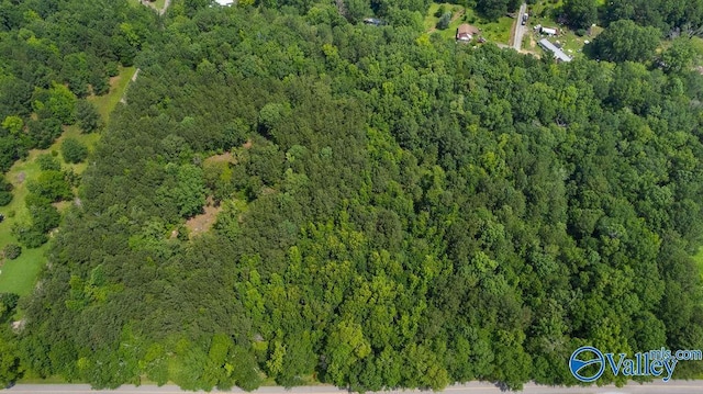 12.2 Riddles Bend Rd, Rainbow City, AL 35906
