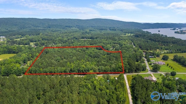 12.2 Riddles Bend Rd, Rainbow City, AL 35906