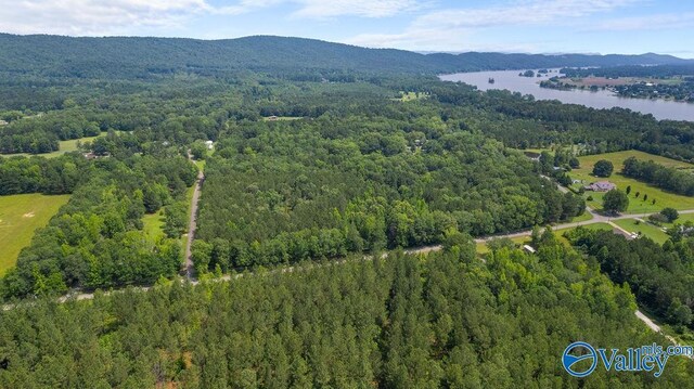 12.2 Riddles Bend Rd, Rainbow City, AL 35906