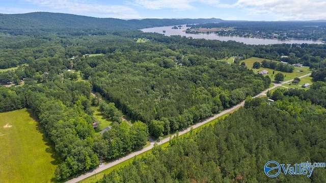 12.2 Riddles Bend Rd, Rainbow City, AL 35906