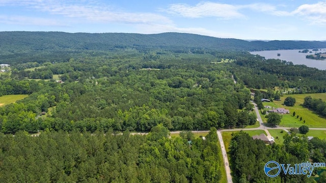 12.2 Riddles Bend Rd, Rainbow City, AL 35906