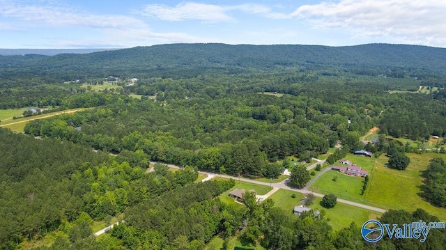 12.2 Riddles Bend Rd, Rainbow City, AL 35906