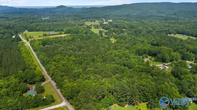 12.2 Riddles Bend Rd, Rainbow City, AL 35906