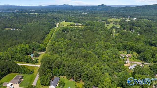 12.2 Riddles Bend Rd, Rainbow City, AL 35906